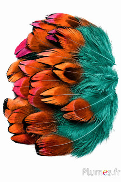 Fagiano di Colchide - 3-5 cm - giada